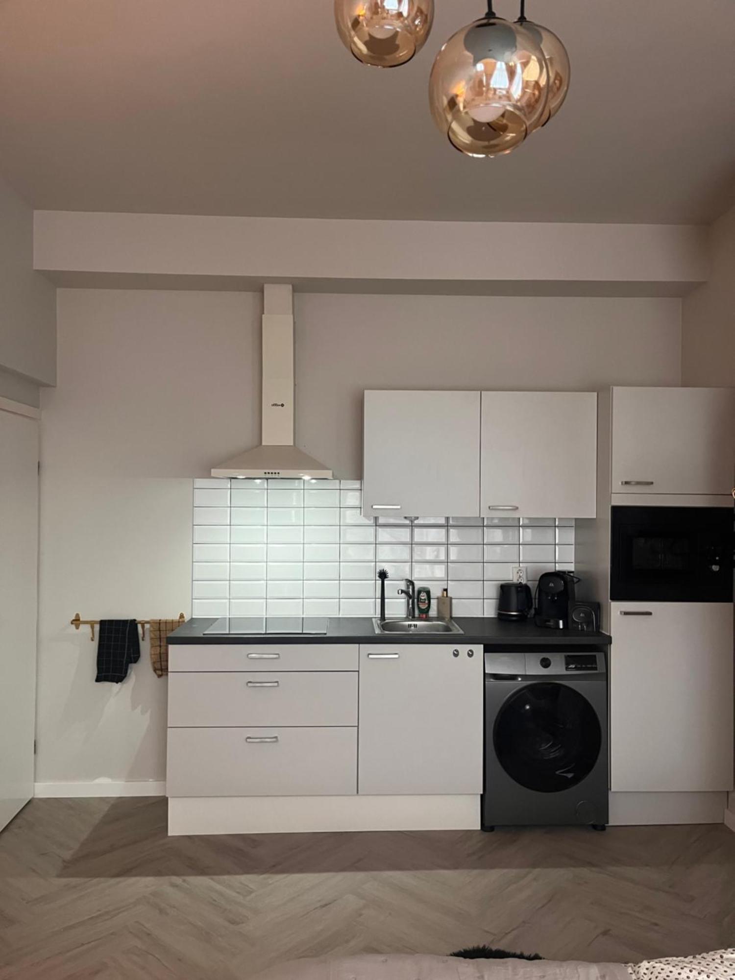 Studio Lage Rijndijk Apartment Leiden Bagian luar foto